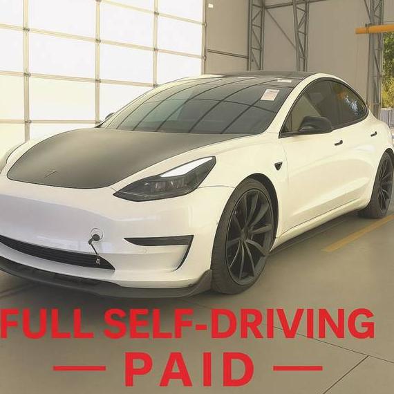 TESLA MODEL 3 2020 5YJ3E1EB0LF622893 image
